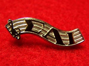 Music Staff Pin
