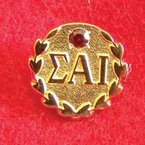 National Arts Associate Pin