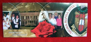 Patroness Brochure