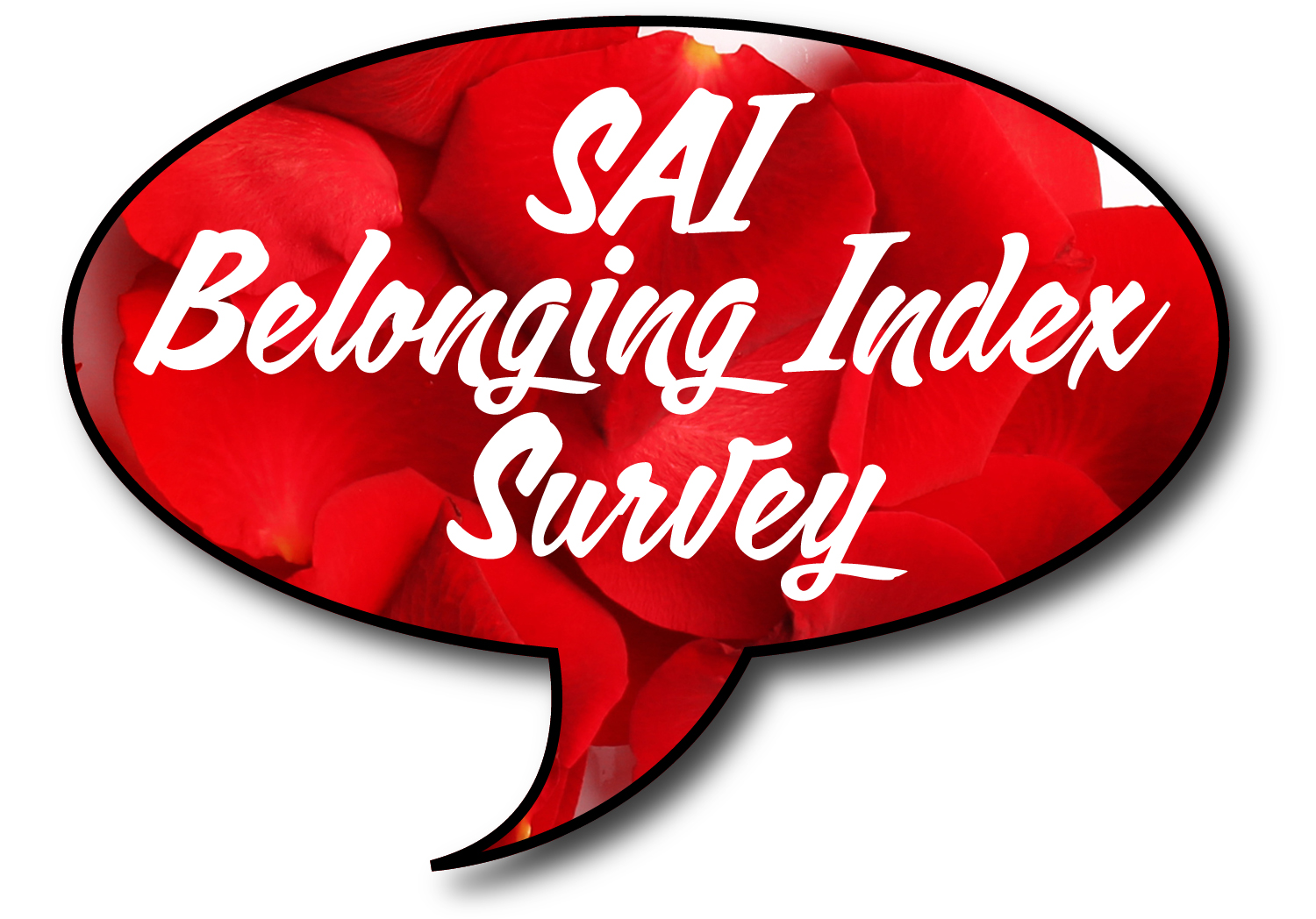 SAI Belonging Index Survey